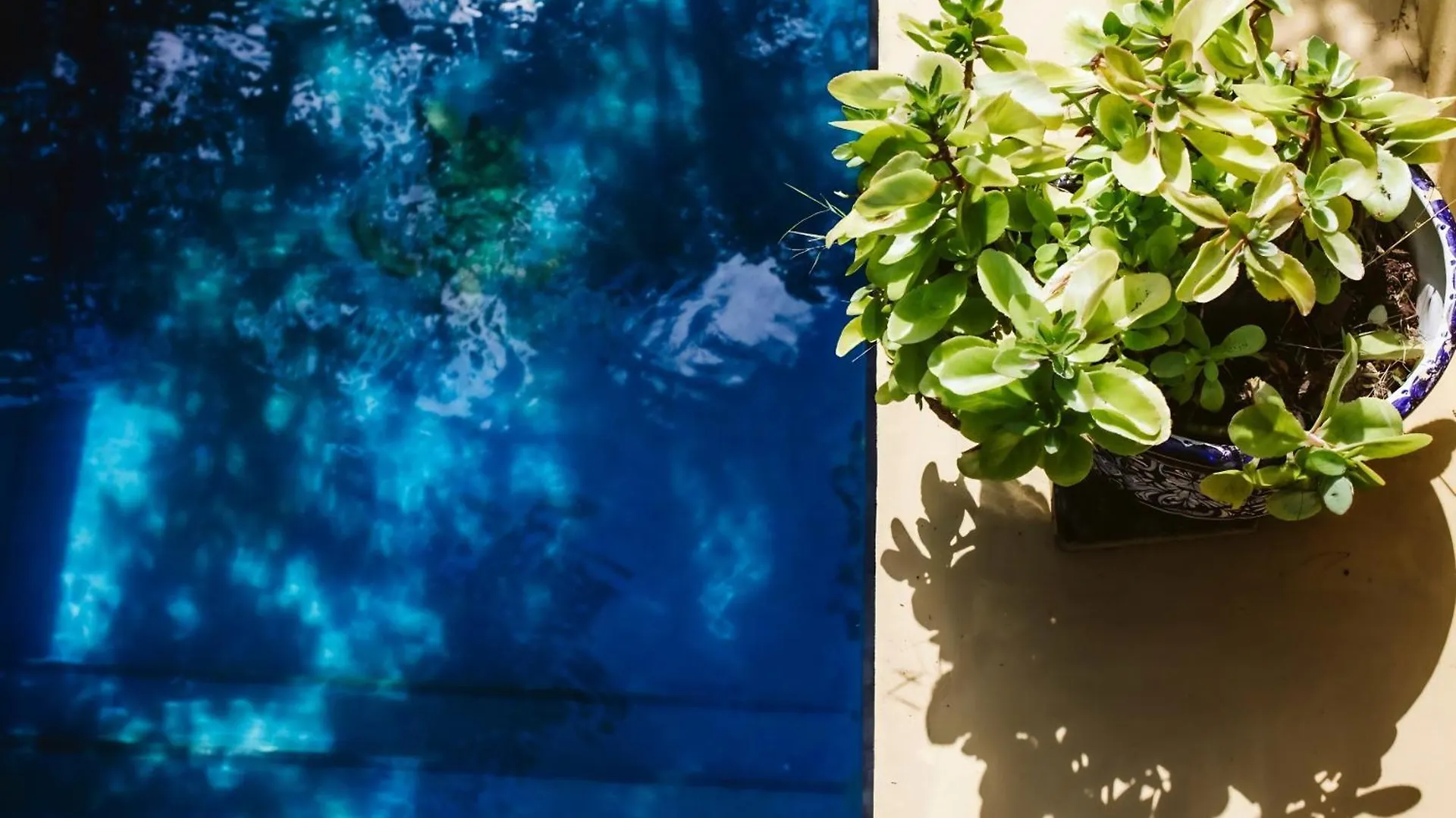 Villa Amable, Lujo Entre Selvas Y Lagunas Akumal