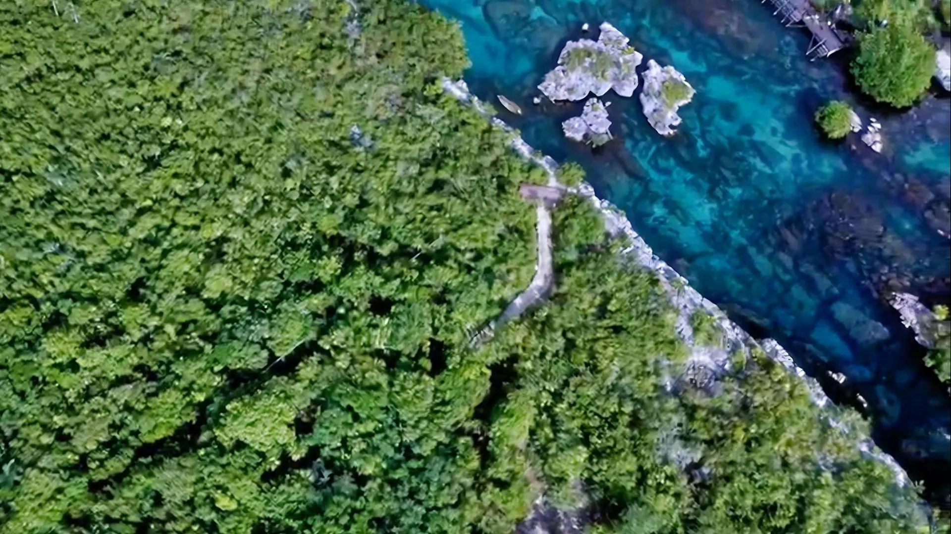 Villa Amable, Lujo Entre Selvas Y Lagunas Akumal