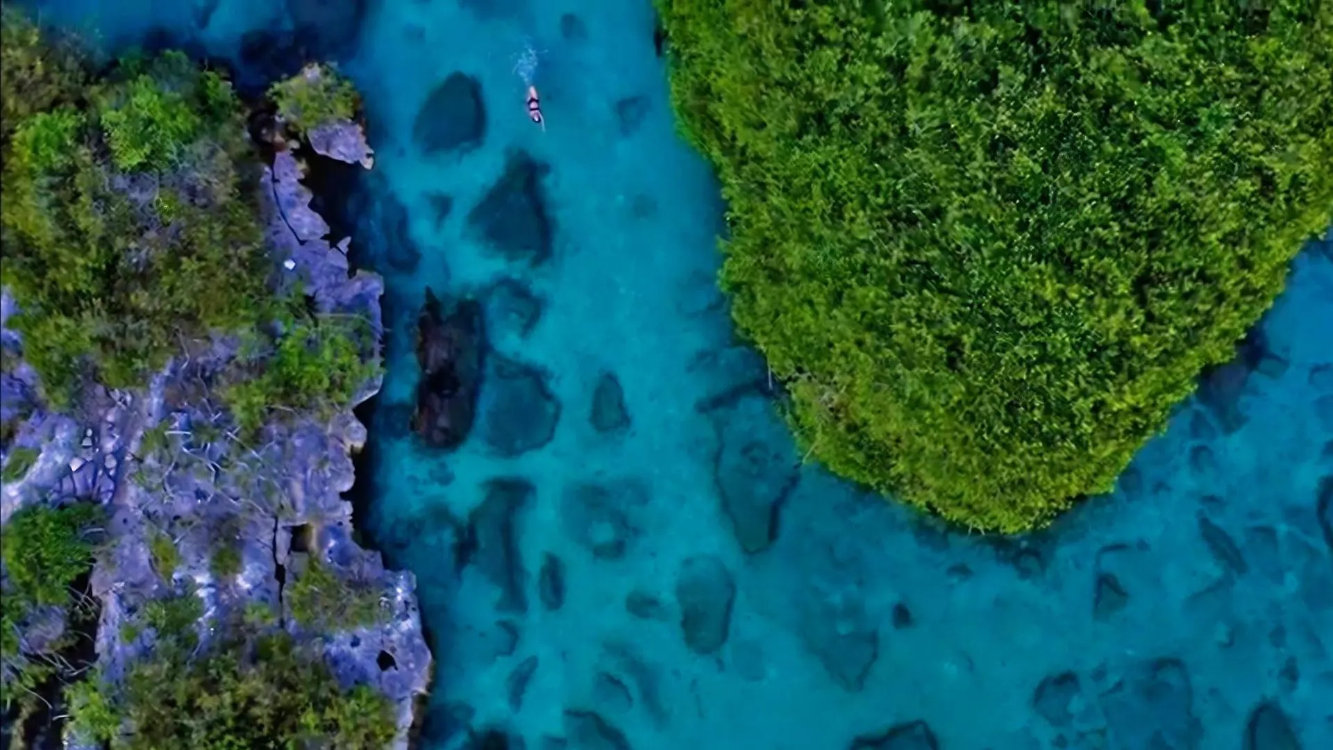 Villa Amable, Lujo Entre Selvas Y Lagunas Akumal