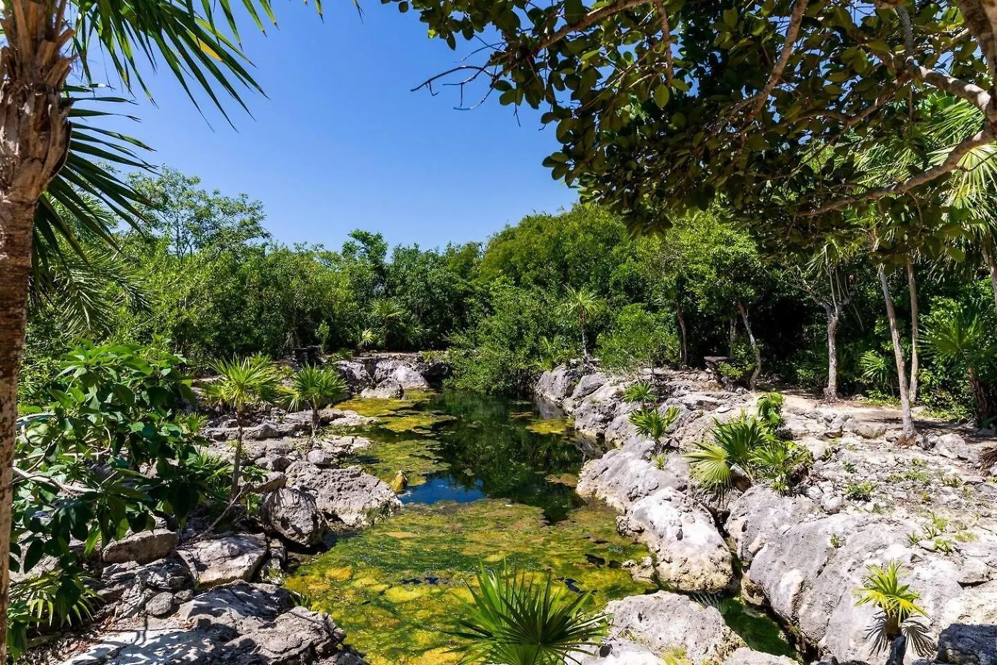 Villa Amable, Lujo Entre Selvas Y Lagunas Akumal